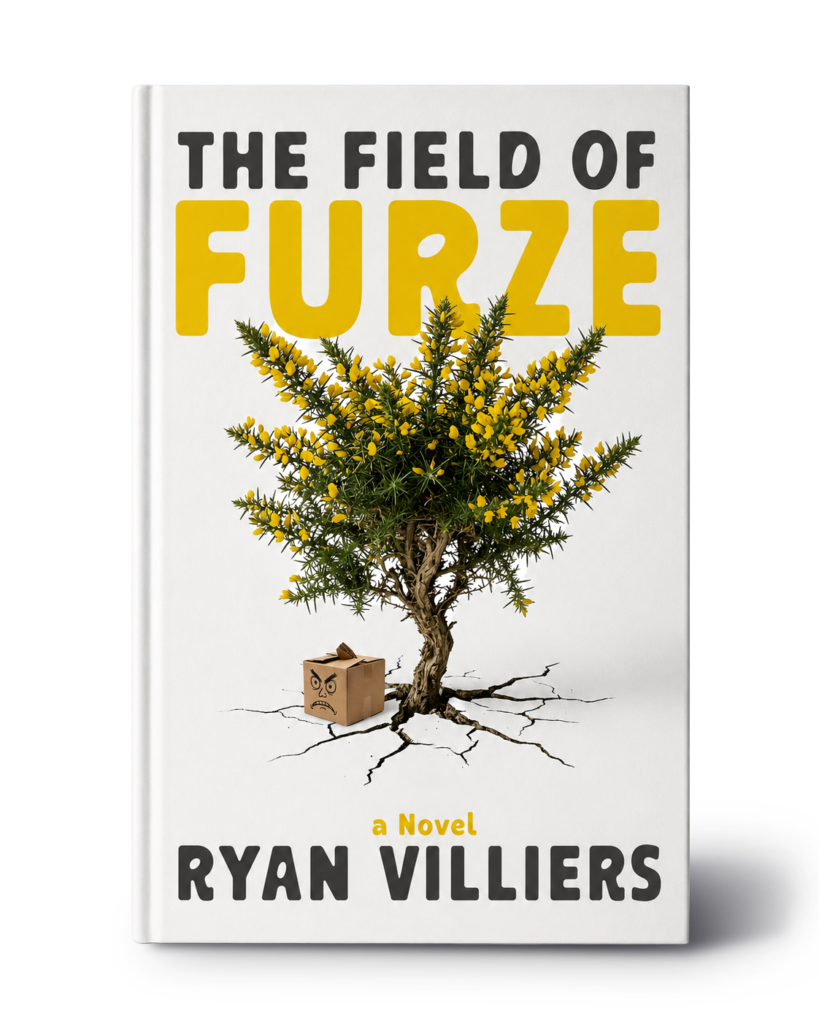 literary fiction with commercial crossover