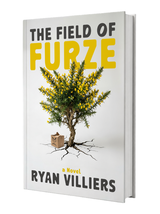 The Field of Furze - Upmarket fiction / literary fiction with commercial crossover